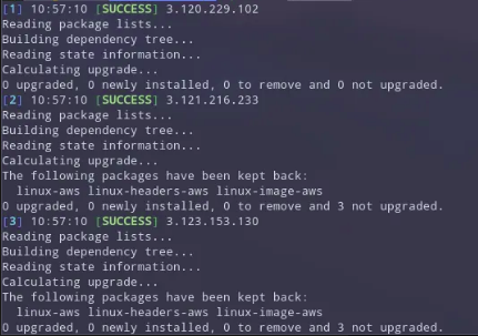 K8S Hosts